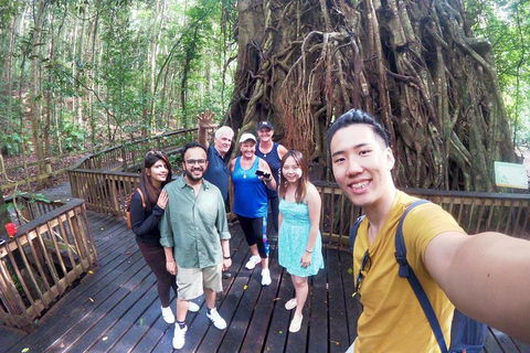 Cairns 4WD Waterfall And Rainforest Tour Including Kuranda Scenic Railway - Accommodation Gold Coast 0