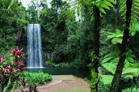Paronella Park And Millaa Millaa Falls Full-day Tour From Cairns - Accommodation Gold Coast 3