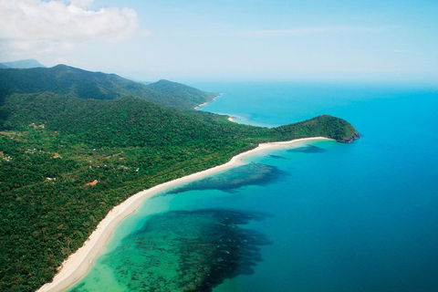 Cape Tribulation, Mossman Gorge, And Daintree Rainforest Premium Day Tour - Accommodation Gold Coast 2