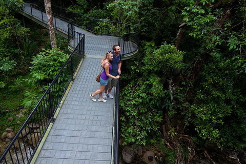 Cape Tribulation, Mossman Gorge, And Daintree Rainforest Premium Day Tour - Accommodation Gold Coast 3