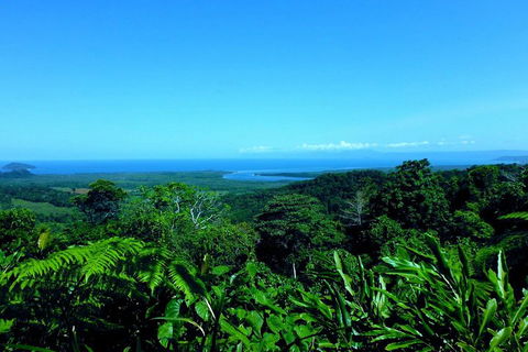 Cape Tribulation, Mossman Gorge, And Daintree Rainforest Premium Day Tour - Accommodation Gold Coast 5