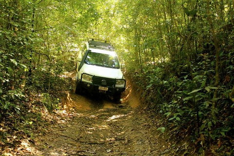 Barron Gorge And Kuranda National Park Half Day Rainforest And Waterfall 4WD Tour From Cairns - Accommodation Gold Coast 2