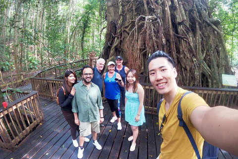 Barron Gorge And Kuranda National Park Half Day Rainforest And Waterfall 4WD Tour From Cairns - Accommodation Gold Coast 5