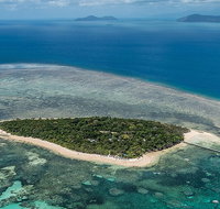 4-Day Cairns with Great Barrier Reef and Daintree Rainforest - Accommodation Gold Coast