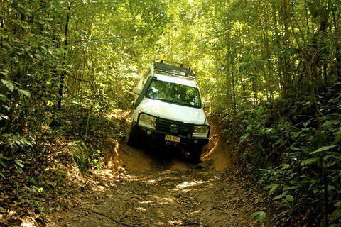 Cairns National Park Rainforest And Waterfall Small Group Tour Shore Excursion - Accommodation Gold Coast 0
