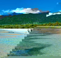 Private Daintree National Park Day Tour from Cairns Including Cape Tribulation and Mossman Gorge - Accommodation Gold Coast