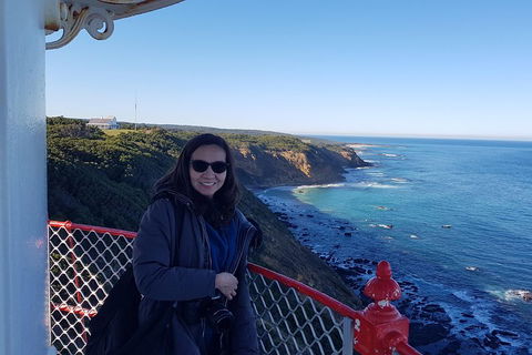 Great Ocean Road Full Day Private Experience - Accommodation Gold Coast 1