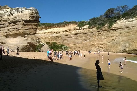 Great Ocean Road Full Day Private Experience - Accommodation Gold Coast 3