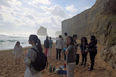 Great Ocean Road Full Day Private Experience - Accommodation Gold Coast 4