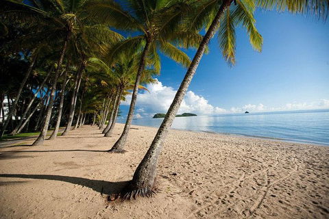 Kuranda Day Trip From Port Douglas Upgrade To Skyrail & Scenic Train Available - Accommodation Gold Coast 1