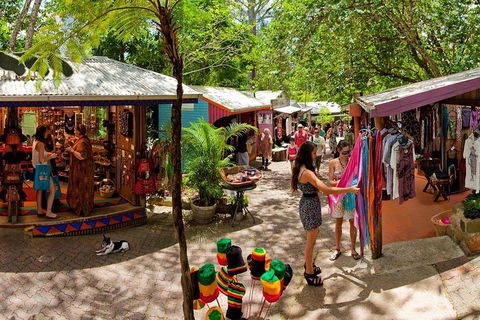 Kuranda Day Trip From Port Douglas Upgrade To Skyrail & Scenic Train Available - Accommodation Gold Coast 2