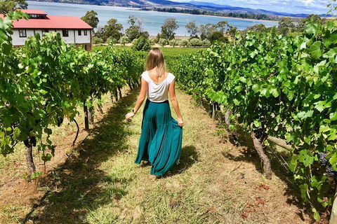 Tamar Valley Wine Tour With Lunch - Accommodation Gold Coast 2