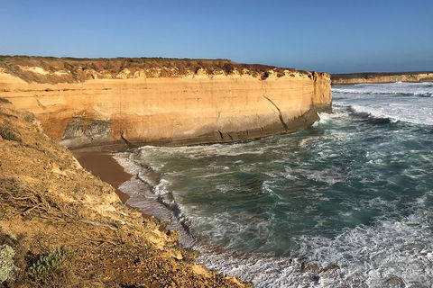 12 Apostles Tour From Warrnambool - Accommodation Gold Coast 1