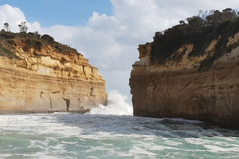 12 Apostles Tour From Warrnambool - Accommodation Gold Coast 2