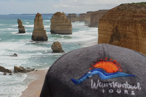 12 Apostles Tour From Warrnambool - Accommodation Gold Coast 4