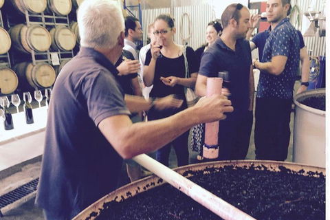 Luxury Private Mclaren Vale Wine Tour - Accommodation Gold Coast 4