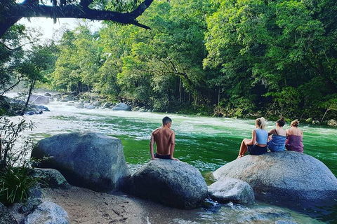 Afternoon Half-Day Daintree Rainforest And River Tour - Accommodation Gold Coast 0