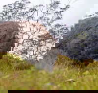 3-Day Cradle Mountain Photography Workshop - Accommodation Gold Coast