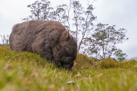 3-Day Cradle Mountain Photography Workshop - Accommodation Gold Coast 0