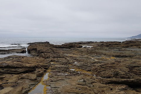 Luxury Private Great Ocean Road Tour Up To 11 People - Entire Vehicle - Accommodation Gold Coast 1