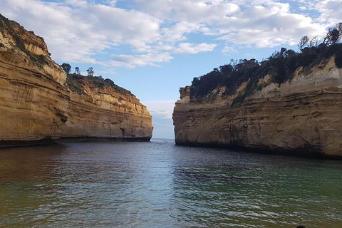 Luxury Private Great Ocean Road Tour Up To 11 People - Entire Vehicle - Accommodation Gold Coast 2