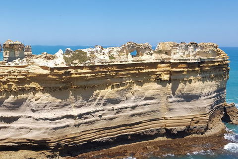 Luxury Private Great Ocean Road Tour Up To 11 People - Entire Vehicle - Accommodation Gold Coast 4