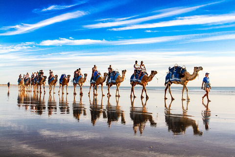 Broome Pre-sunset Camel Tour 30 Minutes - Accommodation Gold Coast 2