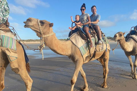 Broome Pre-sunset Camel Tour 30 Minutes - Accommodation Gold Coast 3
