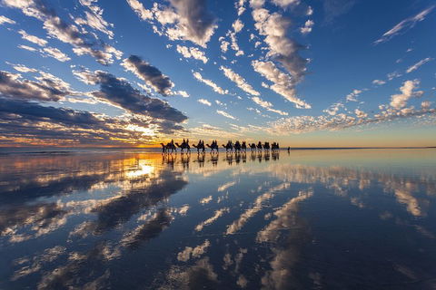 Broome Pre-sunset Camel Tour 30 Minutes - Accommodation Gold Coast 4