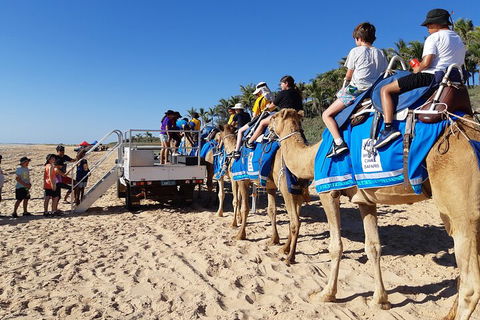 Broome Pre-sunset Camel Tour 30 Minutes - Accommodation Gold Coast 5