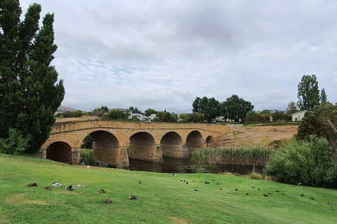 Port Arthur, Richmond And Tasman Peninsula Day Trip From Hobart - Accommodation Gold Coast 3