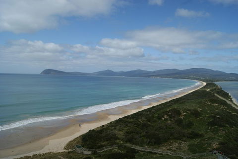 7-Day Best Of Tasmania Adventure Experience From Hobart (flexible Ticket) - Accommodation Gold Coast 2