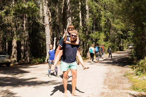 7-Day Best Of Tasmania Adventure Experience From Hobart (flexible Ticket) - Accommodation Gold Coast 5