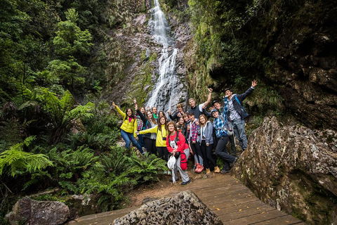 5-Day Lap Of Tasmania Tour From Hobart (flexible Ticket) - Accommodation Gold Coast 0