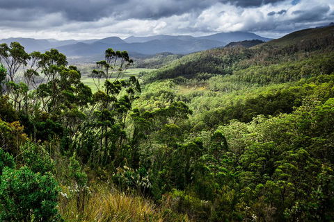 5-Day Lap Of Tasmania Tour From Hobart (flexible Ticket) - Accommodation Gold Coast 2