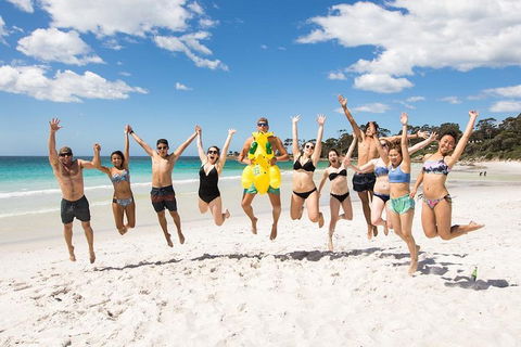 5-Day Lap Of Tasmania Tour From Hobart (flexible Ticket) - Accommodation Gold Coast 4