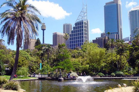 Private Sydney Half Day Tour Including Sydney Opera House And Bondi Beach - Gold Coast 4U 4