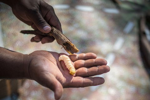 Karrke Aboriginal Cultural Experience - Accommodation Gold Coast 3