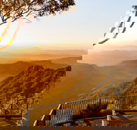 O'Reilly's  Lamington National Park incl. Alpaca Farm  Vineyard - Accommodation Gold Coast