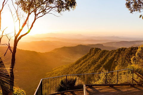 O'Reilly's & Lamington National Park Incl. Alpaca Farm + Vineyard - Accommodation Gold Coast 0