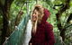 O'Reilly's & Lamington National Park Incl. Alpaca Farm + Vineyard - thumb 2
