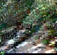 Fraser Island 4WD Tour from Rainbow Beach - Accommodation Gold Coast