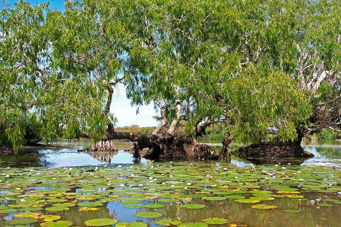 Ethical Adventures - Best In The WET - Litchfield / Kakadu 3 Day- Max 10 Guests - 1 Gold Coast 1
