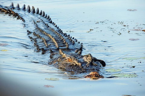 Ethical Adventures - Best In The WET - Litchfield / Kakadu 3 Day- Max 10 Guests - 1 Gold Coast 4