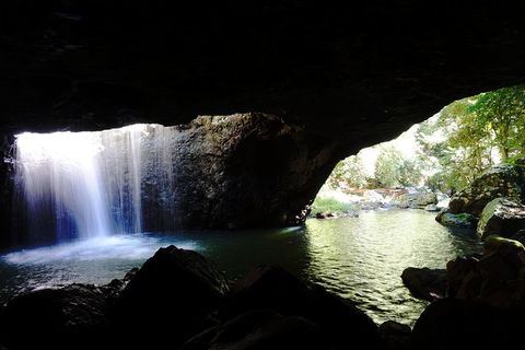 Rainforest & Waterfalls Extravaganza - Accommodation Gold Coast 0