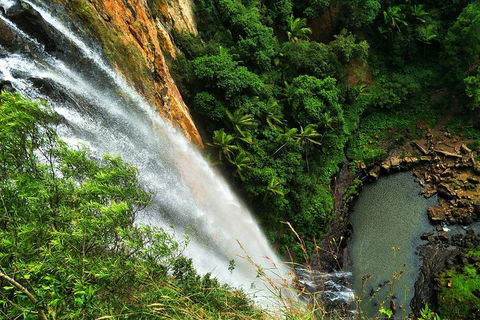 Rainforest & Waterfalls Extravaganza - Accommodation Gold Coast 1