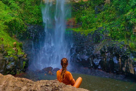 Rainforest & Waterfalls Extravaganza - Accommodation Gold Coast 2