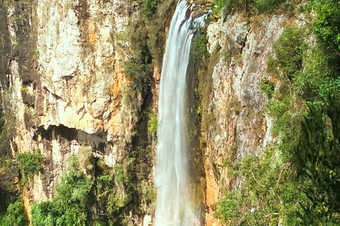 Rainforest & Waterfalls Extravaganza - Accommodation Gold Coast 3