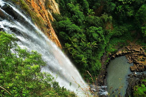 Private Tour - Rainforest & Waterfalls Extravaganza - Accommodation Gold Coast 2
