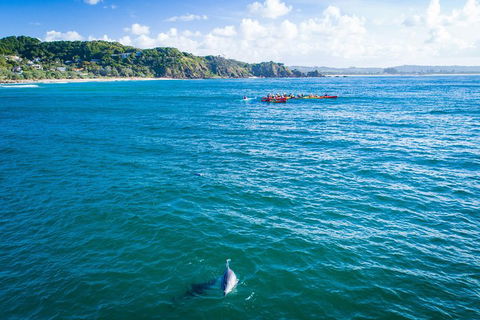 The Byron Bay Sea Kayak Tour - Accommodation Gold Coast 2